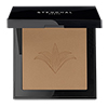POUDRE COMPACTE PERFECTRICE 131 Ambre