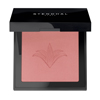 BLUSH ILLUMINATEUR 301 Rose Nevada