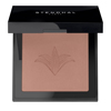 BLUSH ILLUMINATEUR 302 Brun Petra